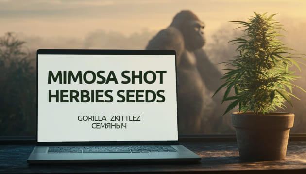 Гроурепорт сорта Gorilla Zkittlez fem от Семяныча