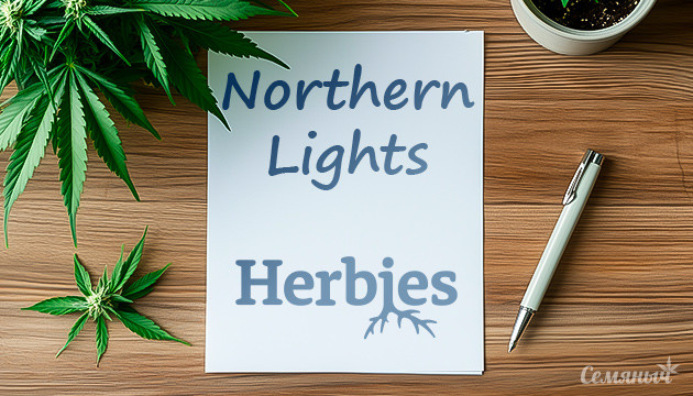 Гроурепорт сорта Northern Lights